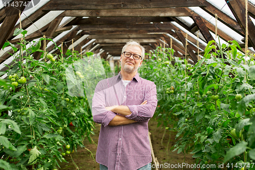 Image of happy senior man at farm greenhouse