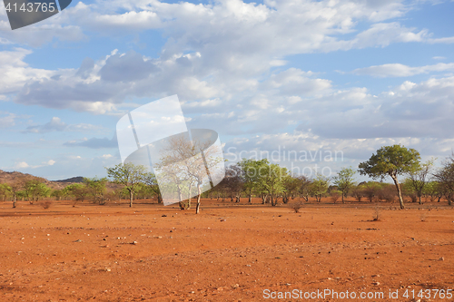 Image of Kalahari