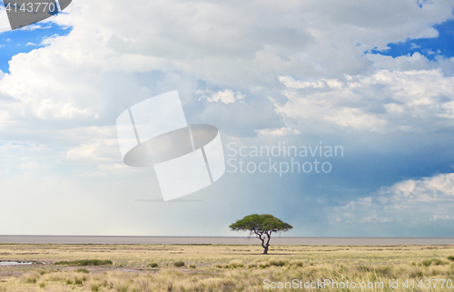 Image of african landscape