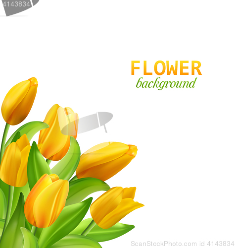 Image of  Spring Natural Bouquet with Yellow Tulips Flowers Isolated