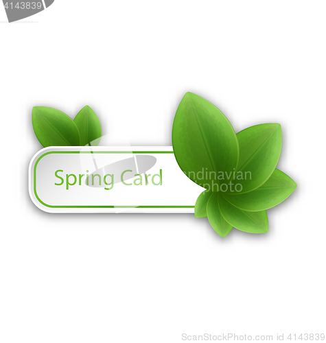 Image of  Eco Friendly Banner with Green Leaves
