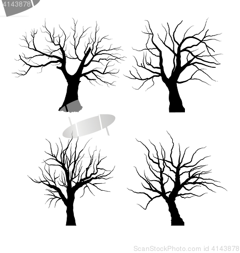 Image of Collection Set of Trees Silhouettes isolated