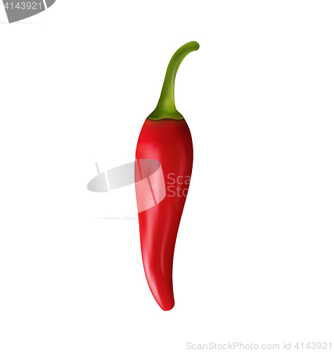 Image of Red Pepper Isolated on White Background  Illustration