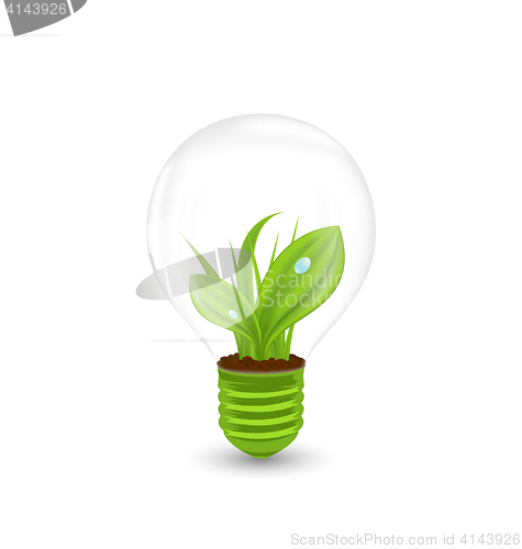 Image of Lamp with Green Grass Inside