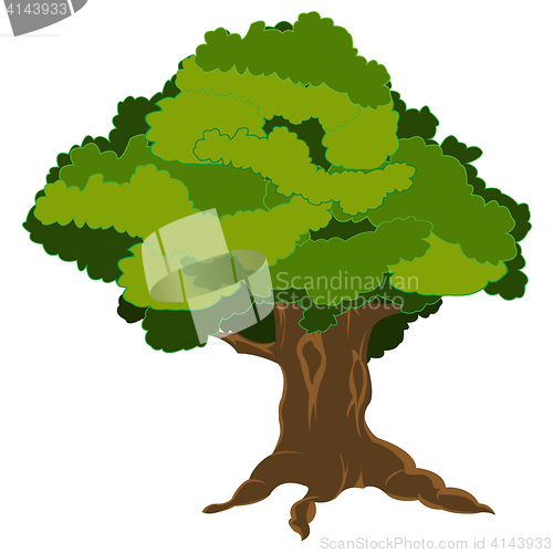 Image of Tree with green foliage