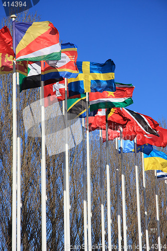 Image of Flags