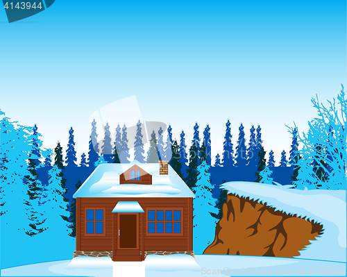 Image of House in wood in winter