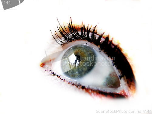 Image of Isolated Eye