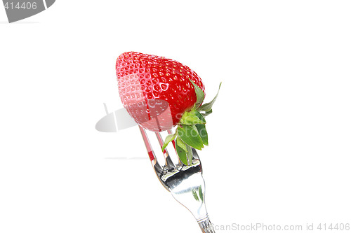 Image of Strawberry