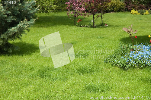 Image of peaceful garden