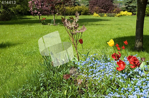 Image of peaceful garden