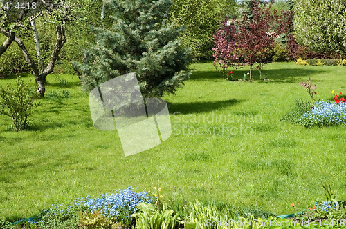 Image of peaceful garden