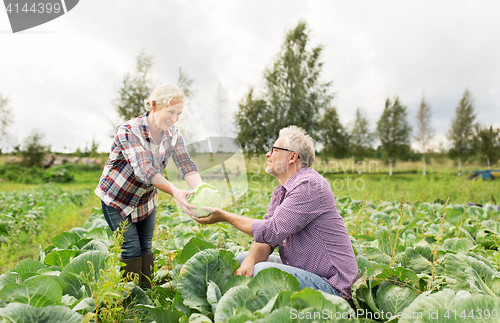 Image of senior couple picking cabbage on farm