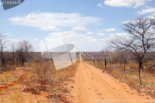 Image of Kalahari