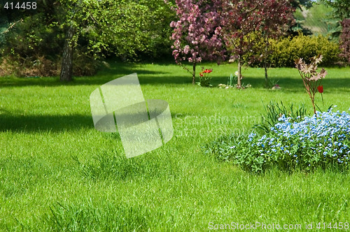 Image of peaceful garden