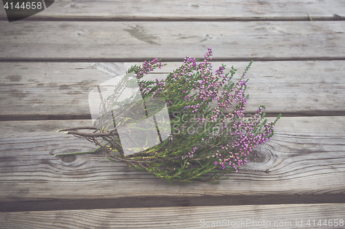 Image of Heather with violet flowers