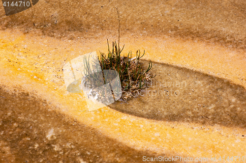 Image of Yellowstone National Park, Utah, USA