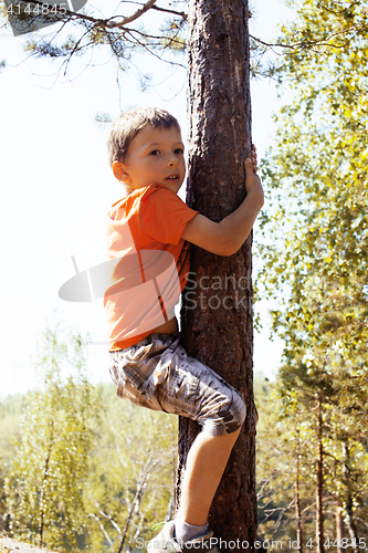 Image of little cute real boy climbing on tree hight, outdoor lifestyle c