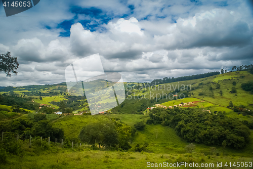 Image of Greenery in Socorro