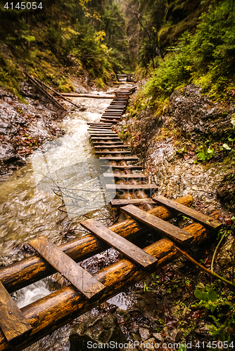 Image of Foot-bridges in Slovak Paradise