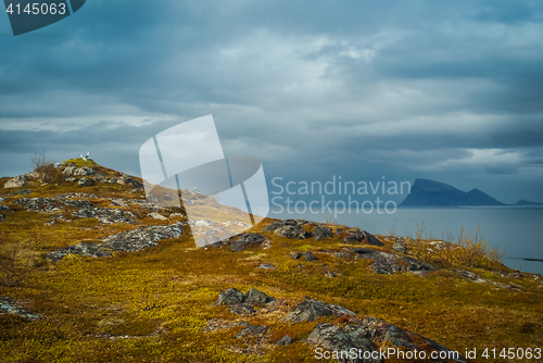 Image of Cliffs and sea