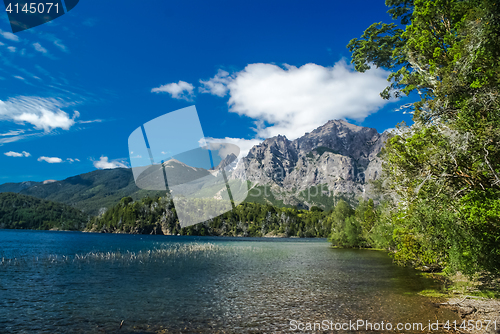 Image of Greenery in Bariloche