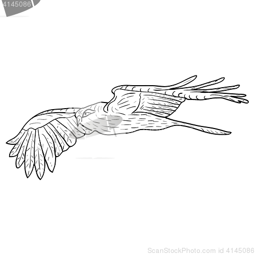 Image of Sketch beautiful eagle on a white background. illustration.