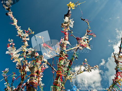 Image of Spiritual Tree with Flags