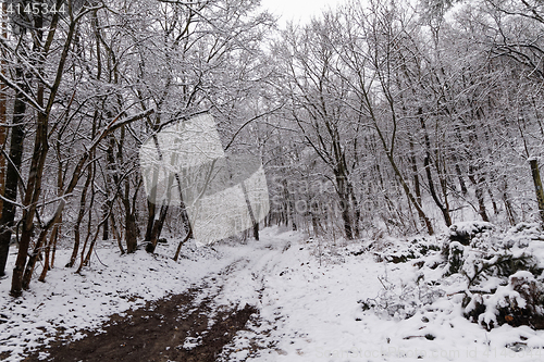 Image of Snowy road