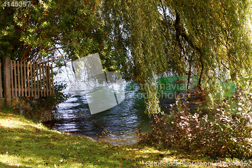 Image of Lake in the park