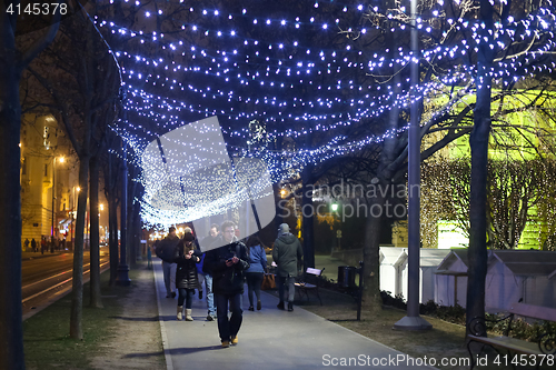 Image of Plane tree alley 