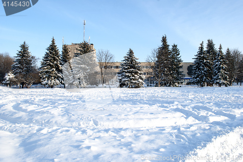 Image of Winter sunny day