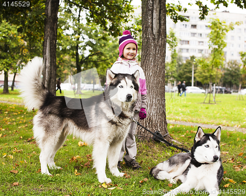 Image of little cute girl playing with husky dog outside in green park