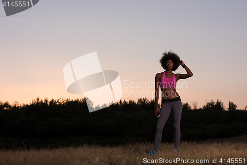 Image of young african american woman in nature