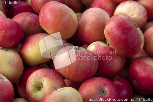 Image of Apples at the market