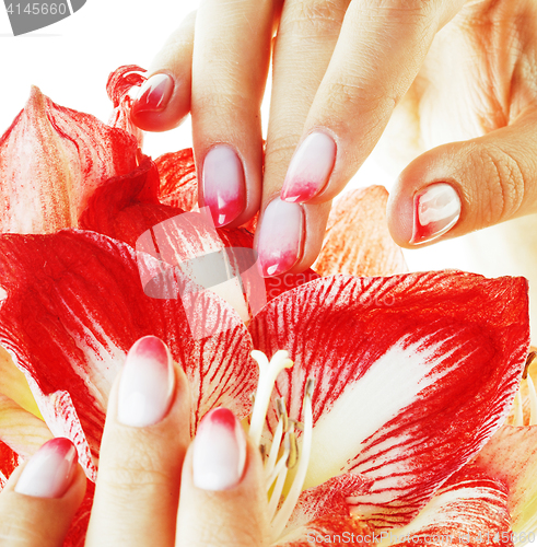 Image of beauty delicate hands with pink Ombre design manicure holding re