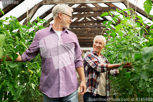 Image of happy senior couple at farm greenhouse