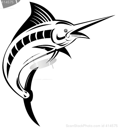 Image of Swordfish