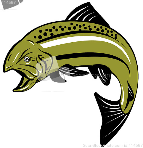 Image of Trout