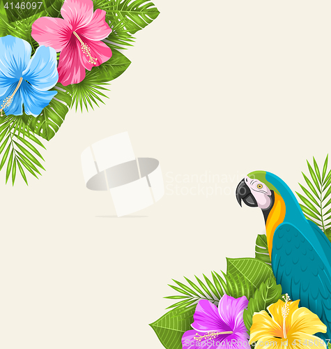 Image of Summer Exotic Background with Parrot Ara, Hibiscus Flowers