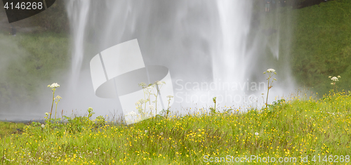 Image of Seljalandsfoss - Iceland - Detail