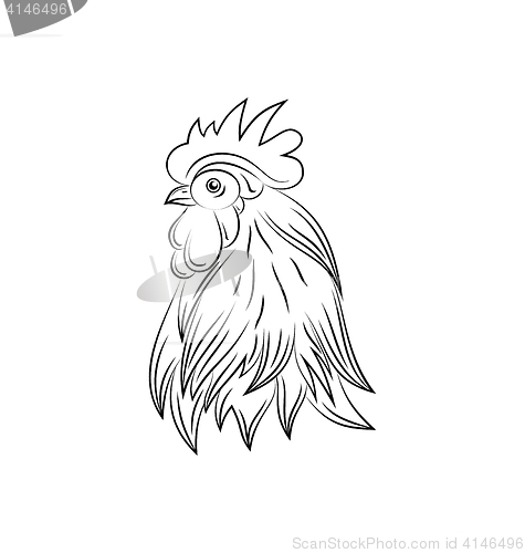 Image of Head of Rooster, Hand Drawn Style