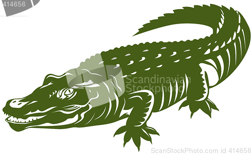 Image of Crocodile