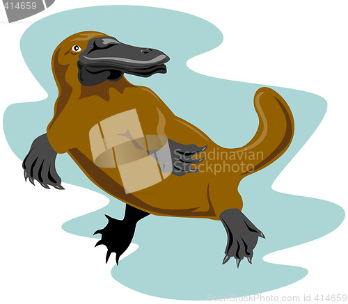 Image of Platypus