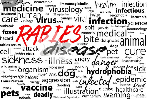 Image of Rabies - viral incurable disease of humans and animals. Health care word text block.