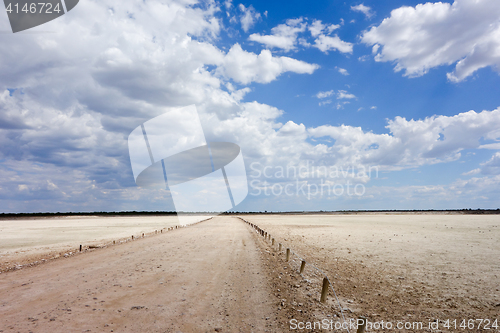 Image of Etosha landscape