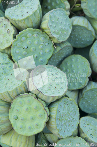 Image of THAILAND ISAN UDON THANI LOTUS FOOD FEGETABLE