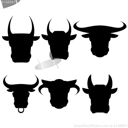 Image of Set of Bull Heads Silhouettes