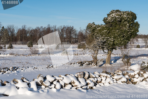 Image of Winterland with snowy stone walls