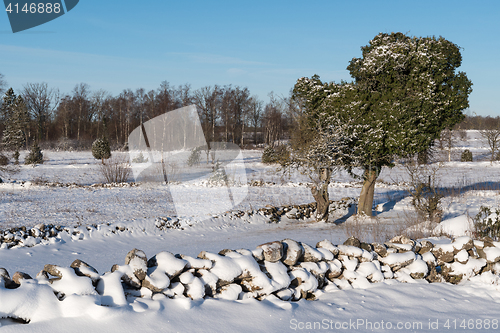 Image of Winterland with snowy stone walls